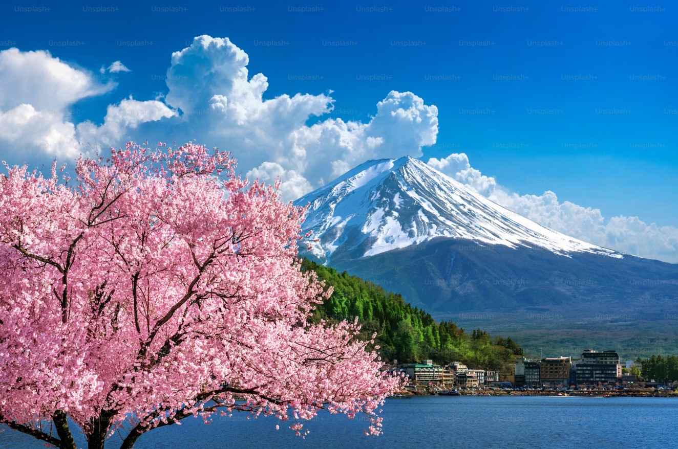 good time to visit japan